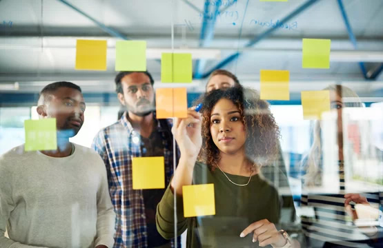 organisational development